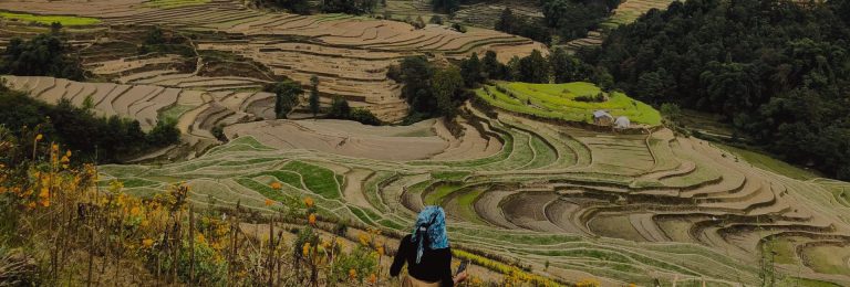 Large-Scale Event Interpretation – Heifer International Nepal Vehicle Handover Ceremony (December 8, 2021)